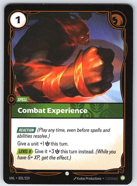 Combat Experience #031/219