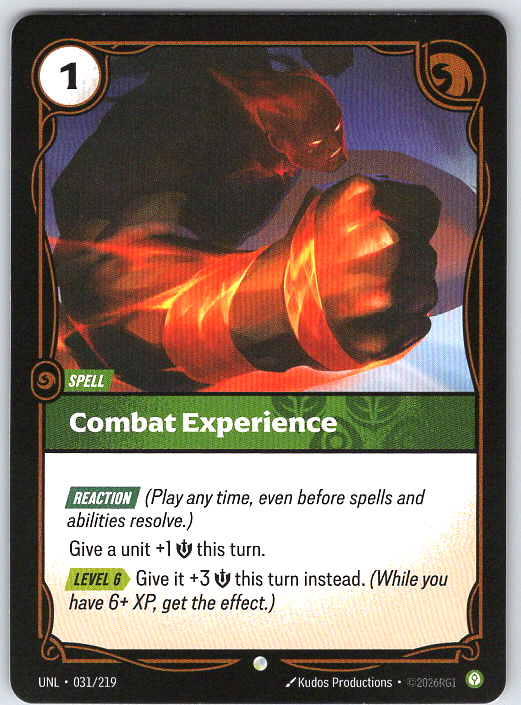 Combat Experience #031/219