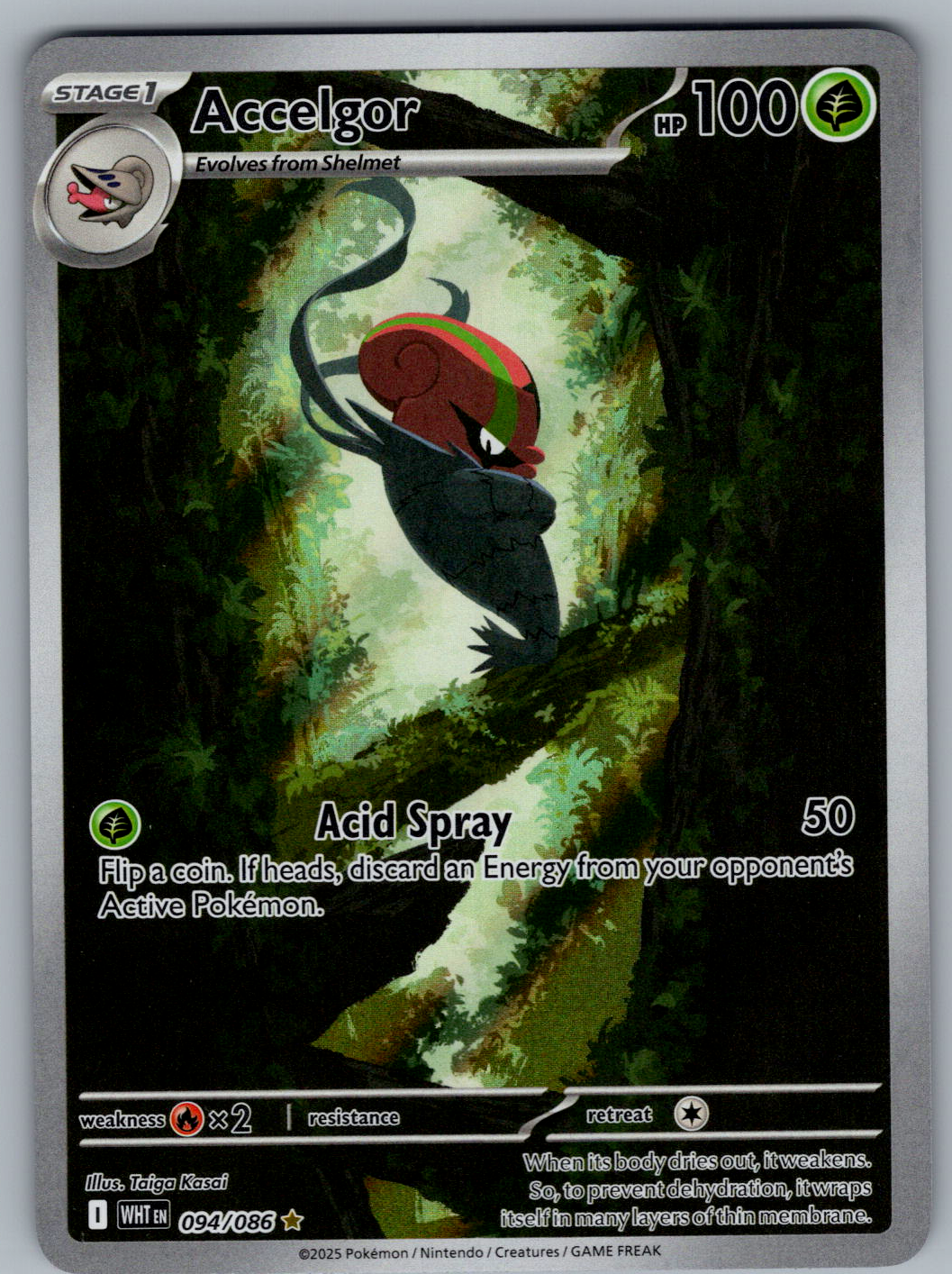 Accelgor #094