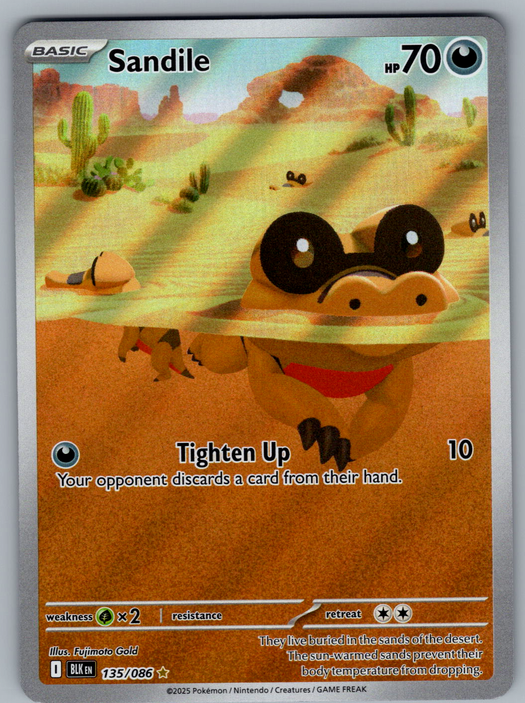 Sandile #135