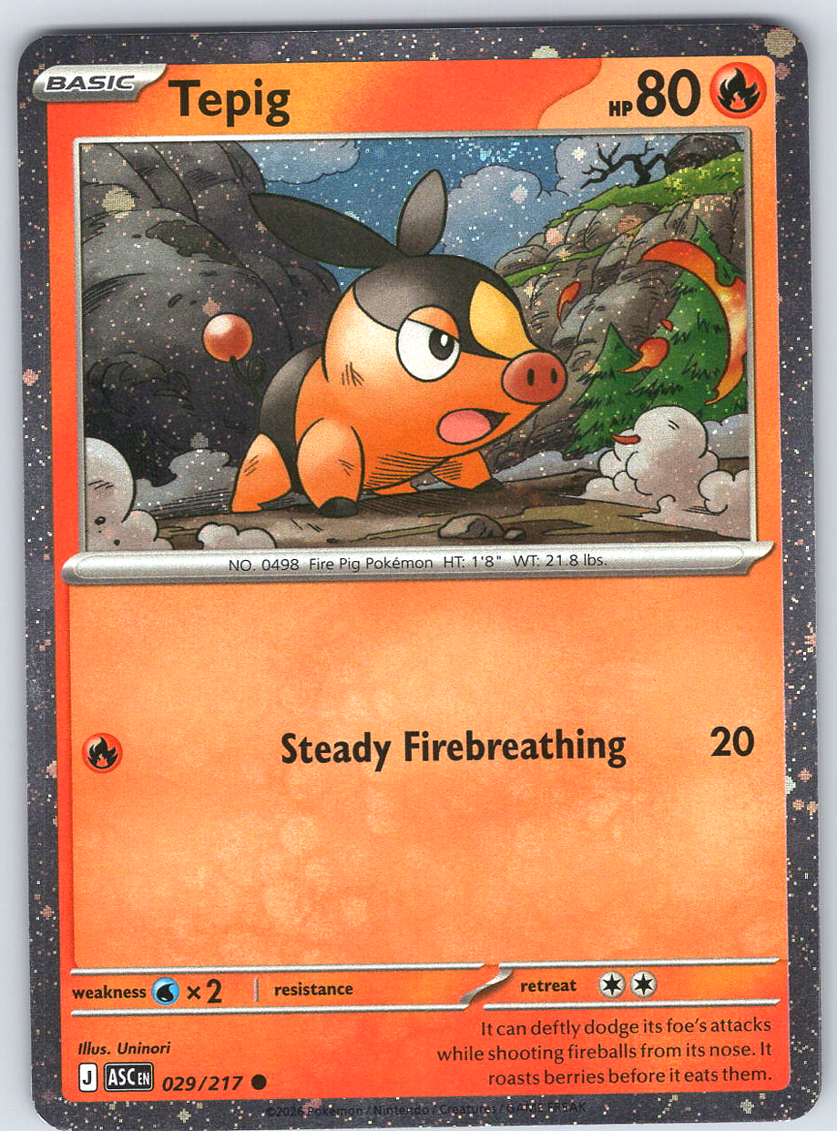 Tepig #029/217
