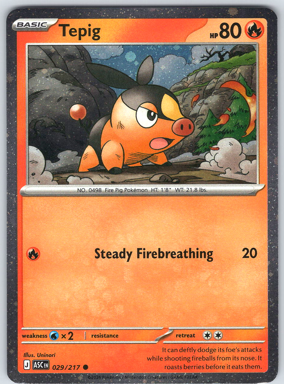 Tepig #029/217
