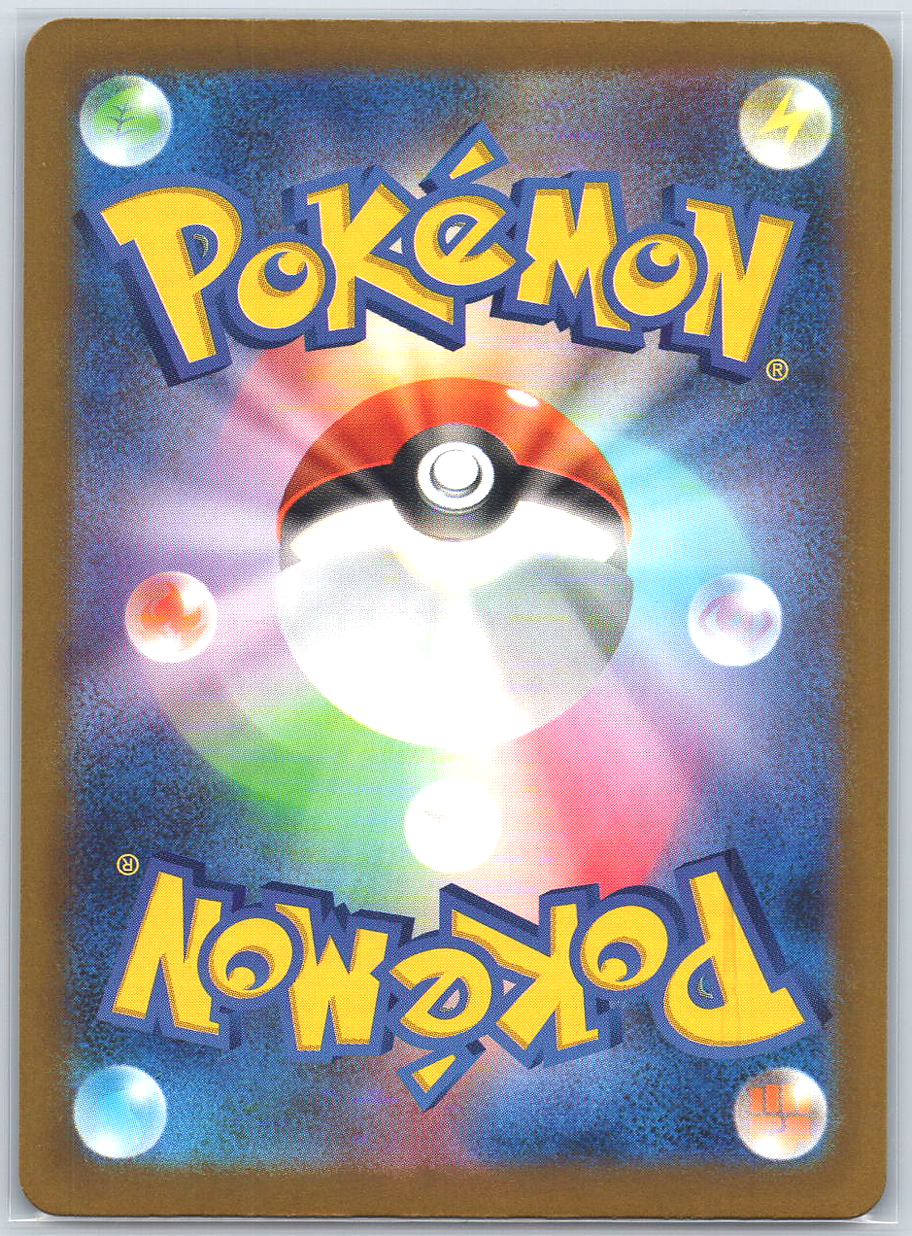 Fan Rotom #213/193
