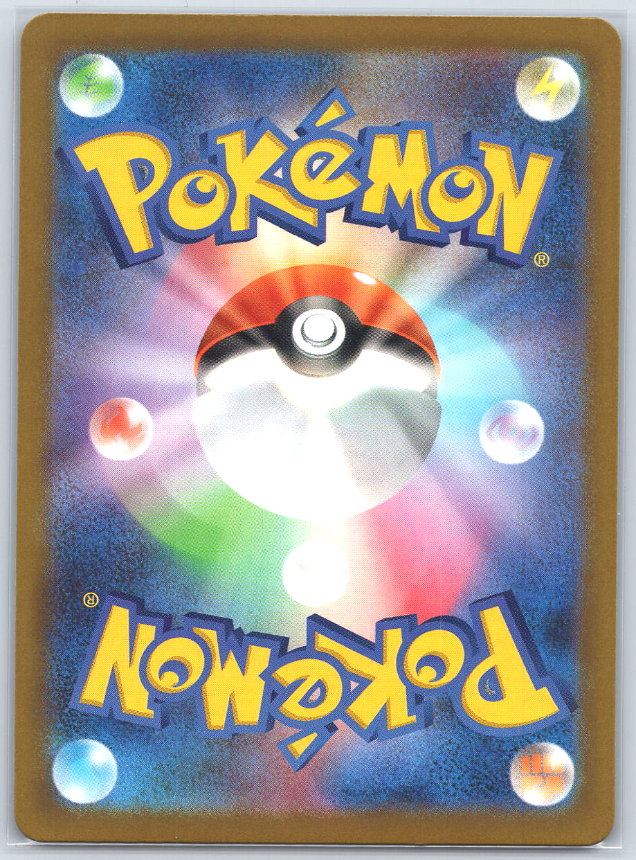 Fan Rotom #213/193
