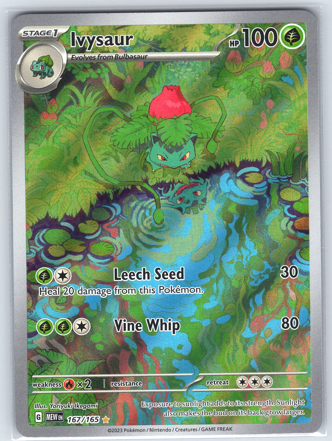 Ivysaur #167/165