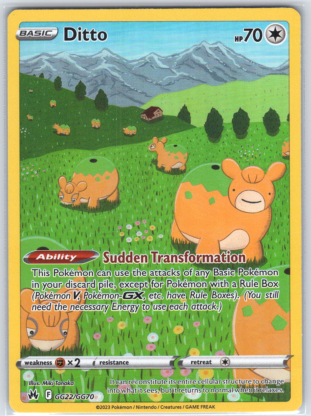 Ditto #GG22/GG70