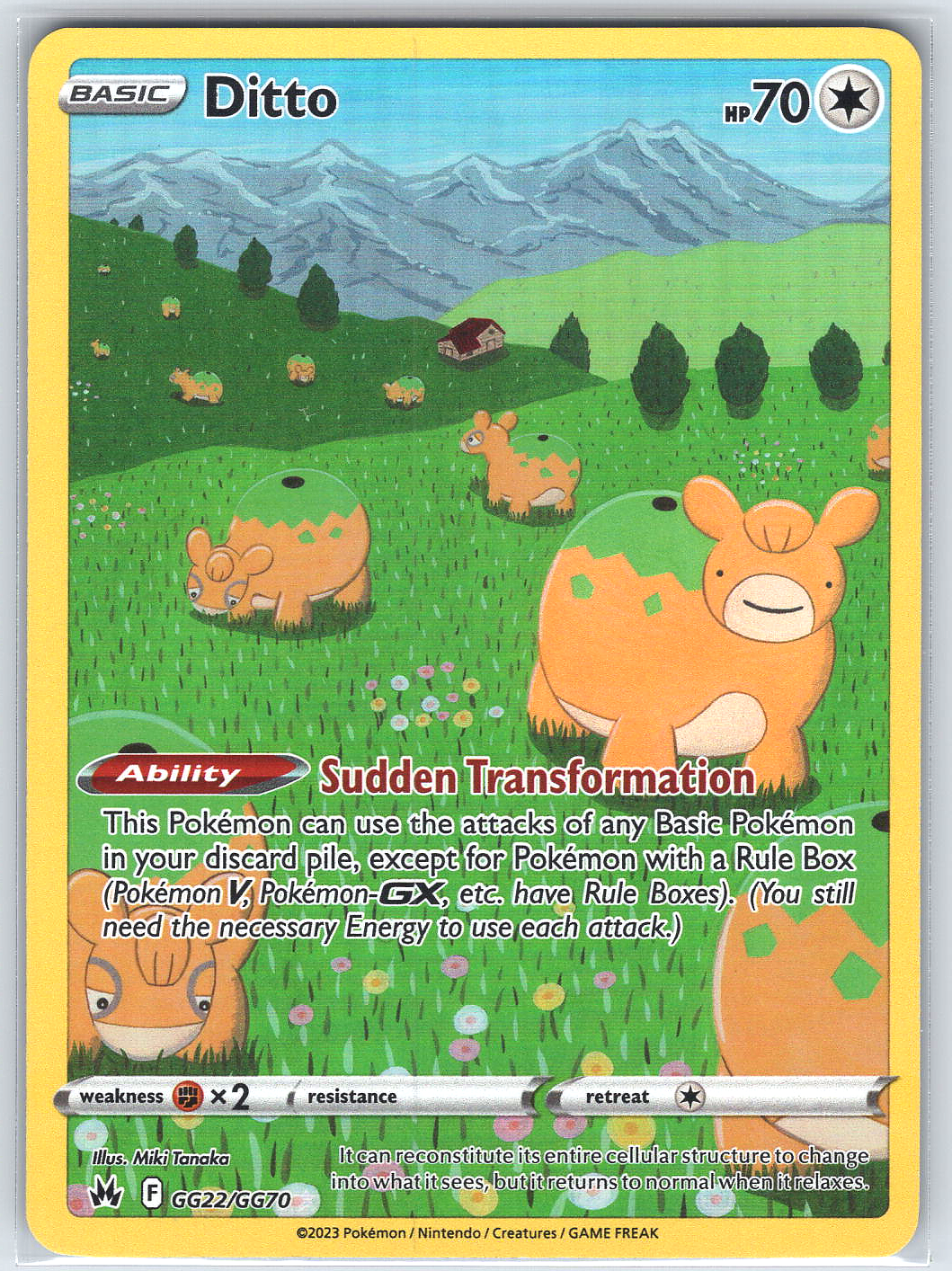 Ditto #GG22/GG70
