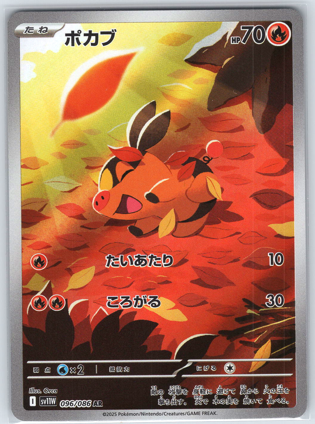 Tepig #096/086 SV11W: White Flare