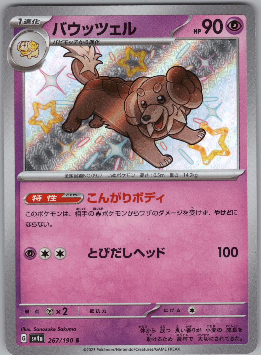 Dachsbun S 267 - QuickTCG LLC