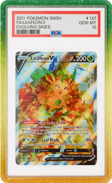 GradedGuard (PSA) - Pumpkin - QuickTCG LLC