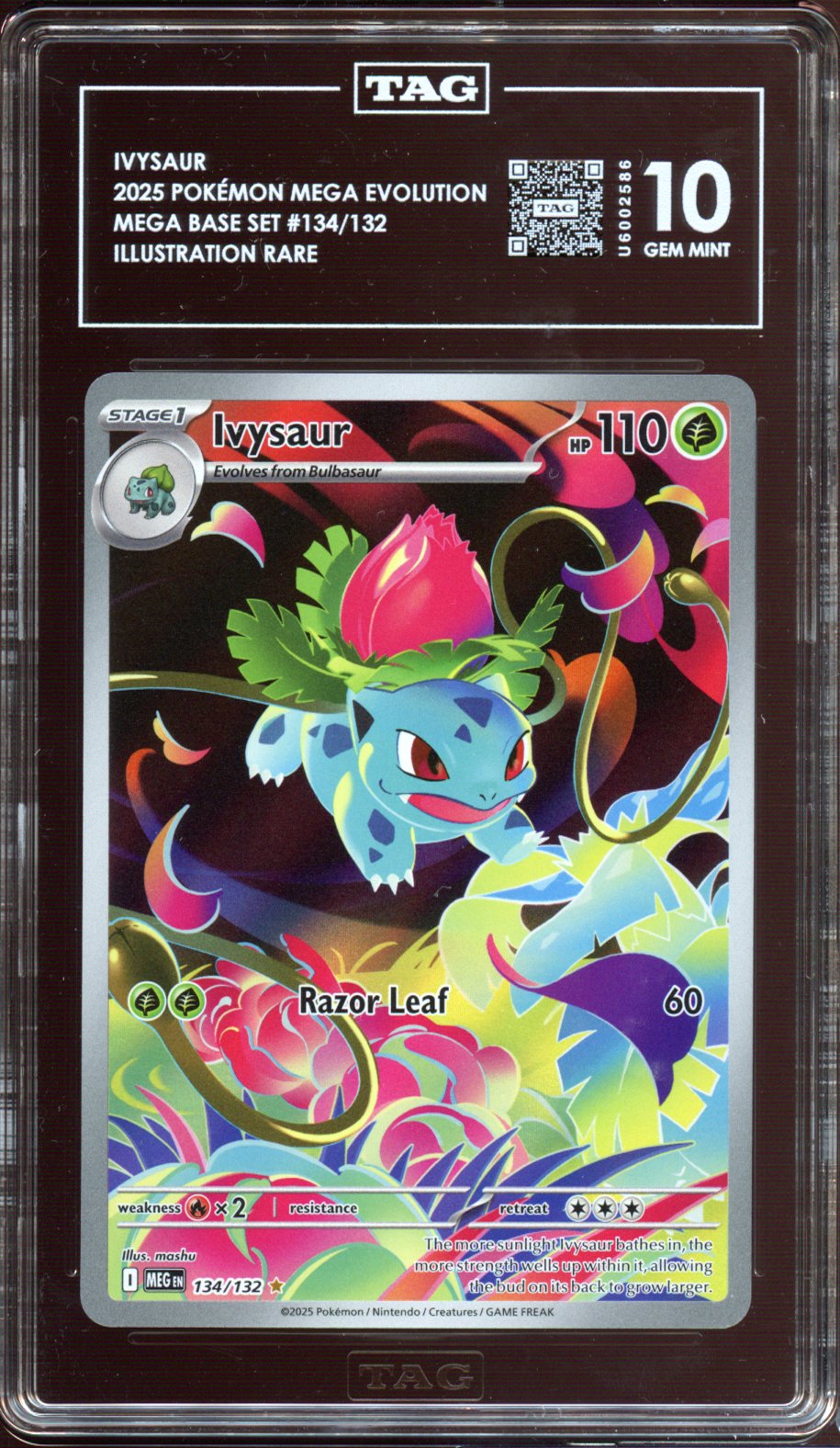 TAG 10 | Ivysaur #134