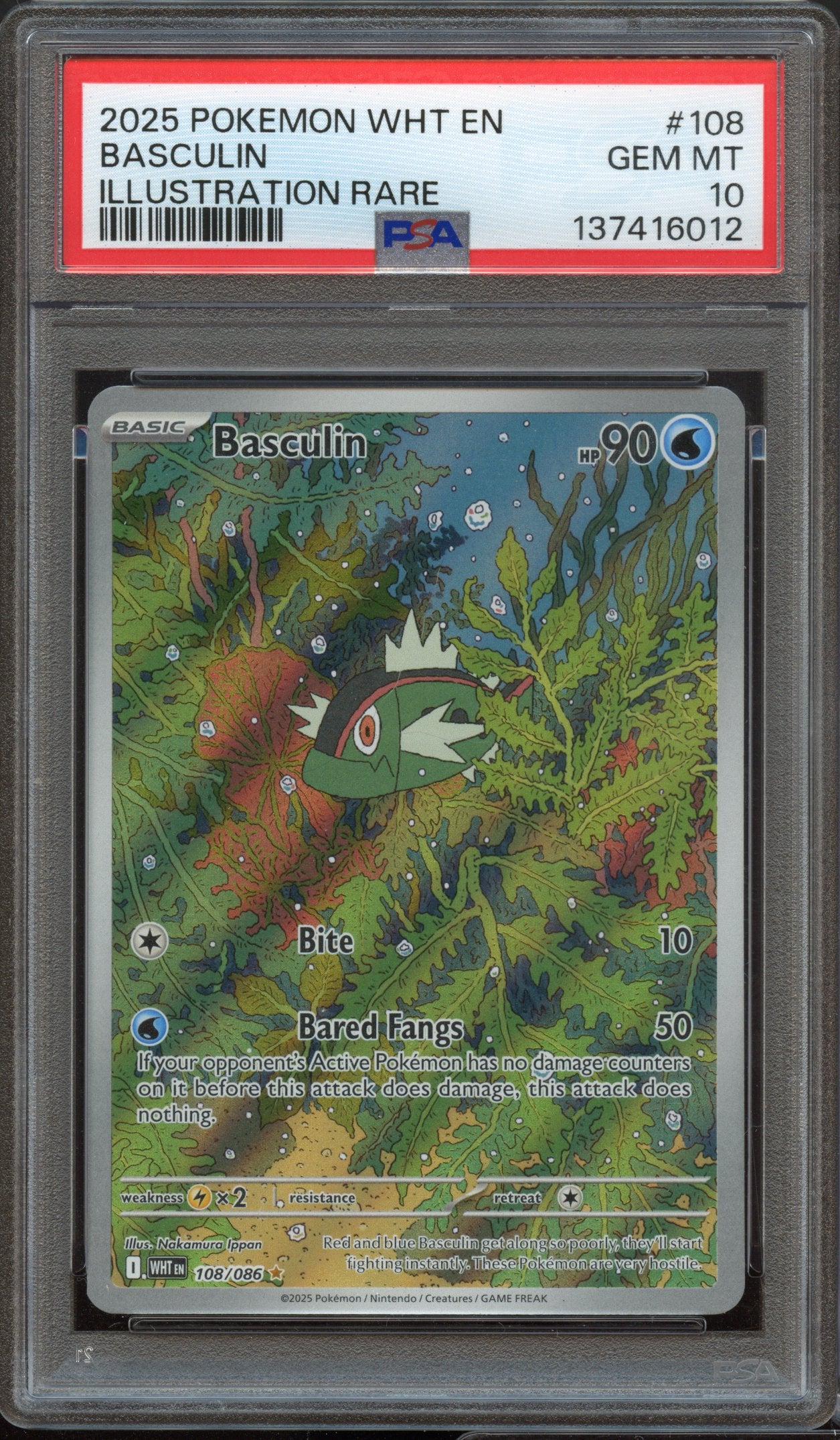 PSA 10 | Basculin Illustration Rare #108