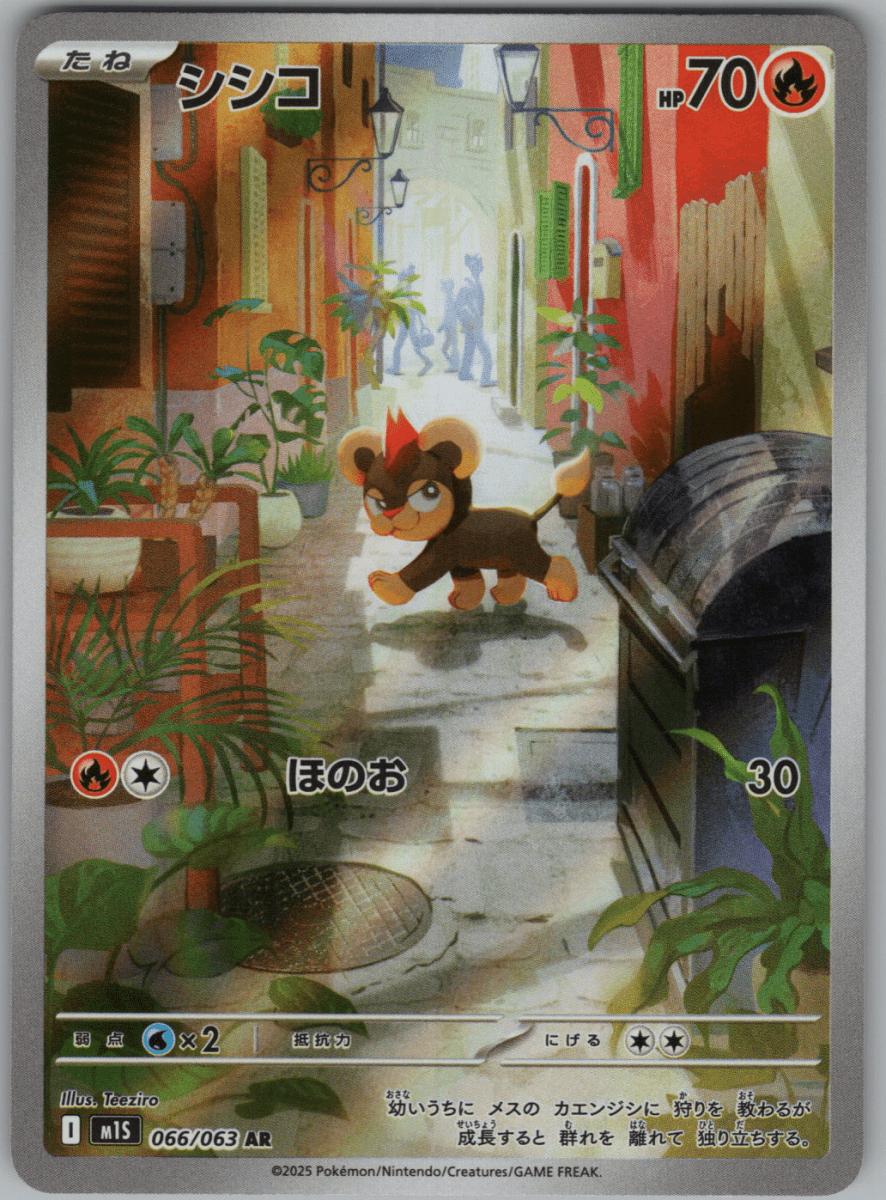 Litleo 066 - QuickTCG LLC