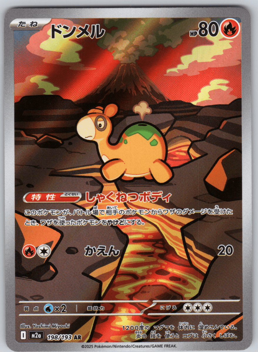 Numel 198 - QuickTCG LLC