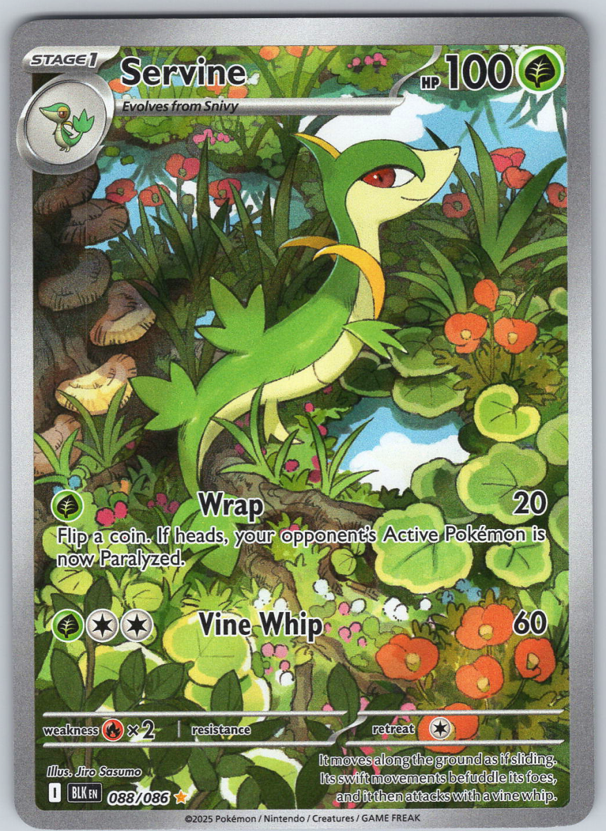 Servine 088 - QuickTCG LLC