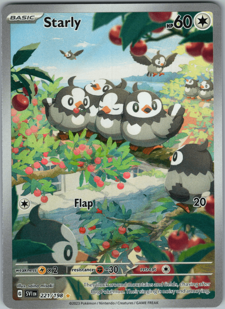 Starly IR 221 - QuickTCG LLC