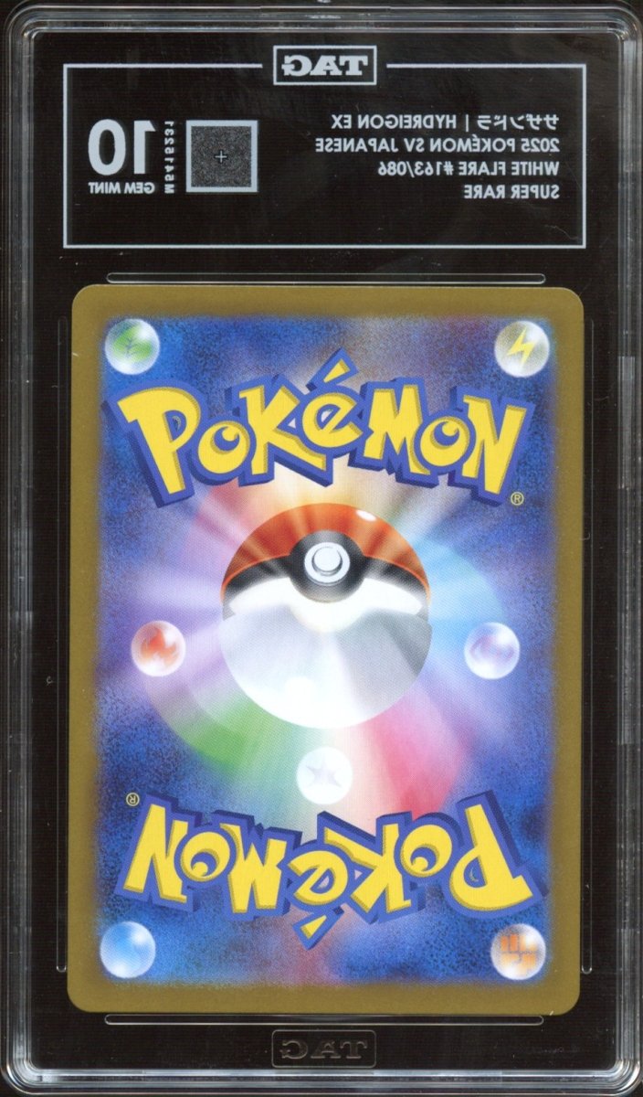 TAG 10 | Hydreigon ex 163 - QuickTCG LLC