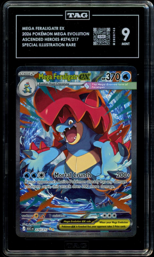 TAG 9 | Mega Feraligatr 274 - QuickTCG LLC
