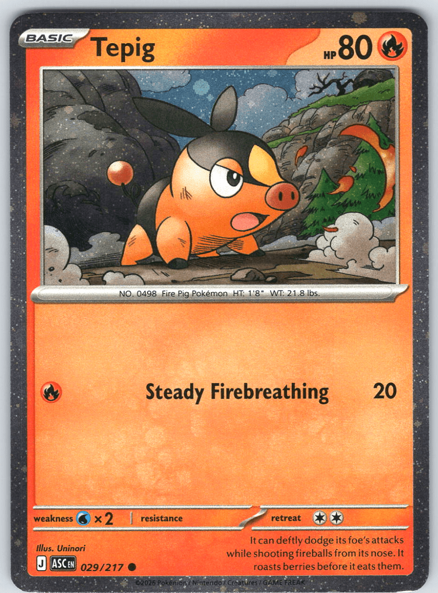 Tepig 029/217 - QuickTCG LLC